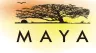 MAYA
